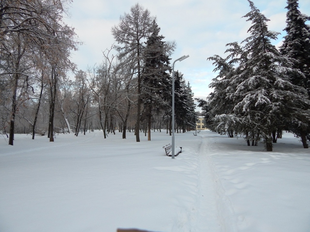 Праздник чая в 